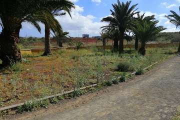 Abandono del Parque de las Mil Palmeras del Valle de Jinámar/TA.